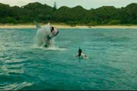 The Shallows 2016