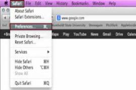 Google Chrome for Business 19