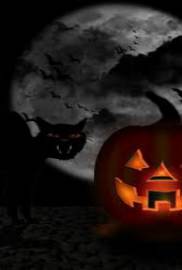 Halloween 2016