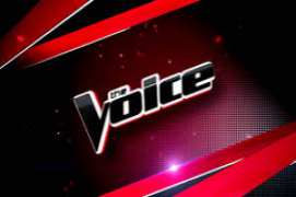 The Voice s11e08
