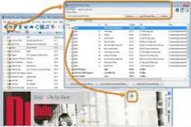 Music Collector Pro 16