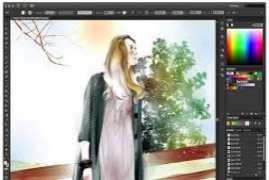 Adobe Illustrator CC 2017