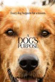 A Dog's Purpose