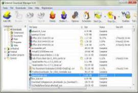Internet Download Manager IDM 6