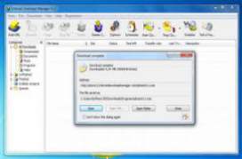 Internet Download Manager IDM 6