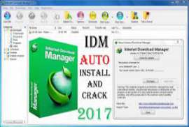 Internet Download Manager IDM 6